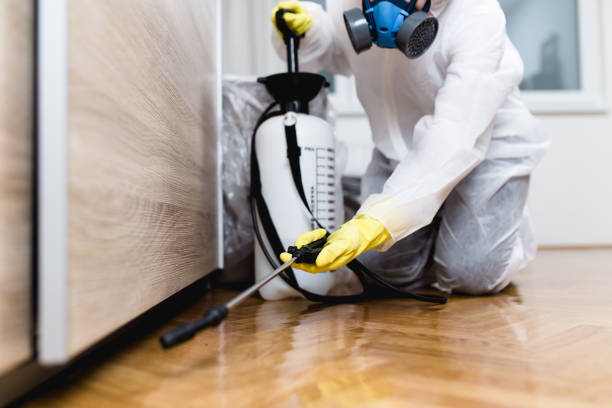 Professional Pest Control in Cleveland, OH