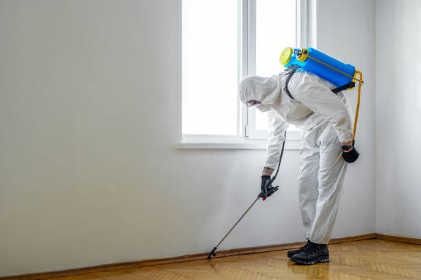 Best Emergency Pest Control  in Cleveland, OH
