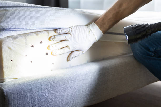 Best Mosquito Control Services  in Cleveland, OH
