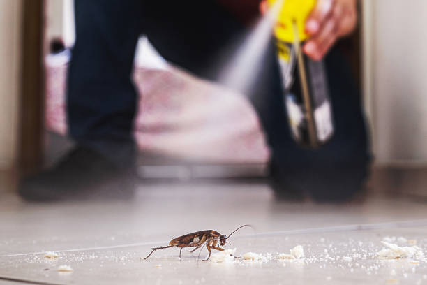 Best Affordable Pest Control Services  in Cleveland, OH